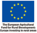 European Union logo
